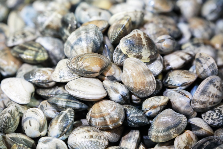 [오늘 저녁 뭐 먹지?] 누구나 쉽게 만들 수 있는 '바지락 봉골레 파스타' 황금레시피