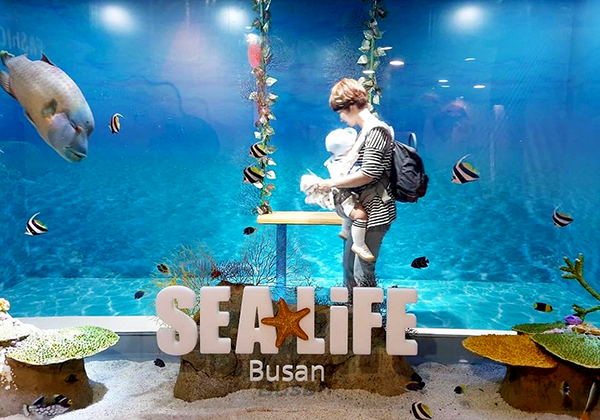 SEA LIFE 부산아쿠아리움, '2019 고객만족브랜드대상' 및 트립어드바이저 올해 '으뜸시설'에 선정