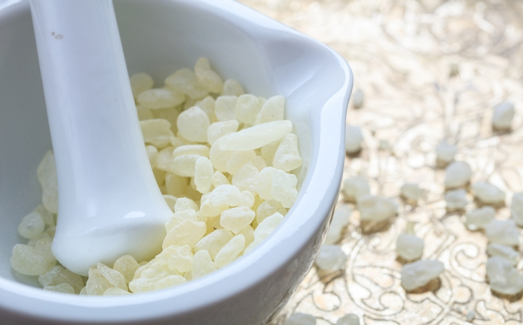 [위장에 좋은 음식] 매스틱 효능, '천연소화제'로 불리는 이유가 있어…매스틱 먹는 방법은?