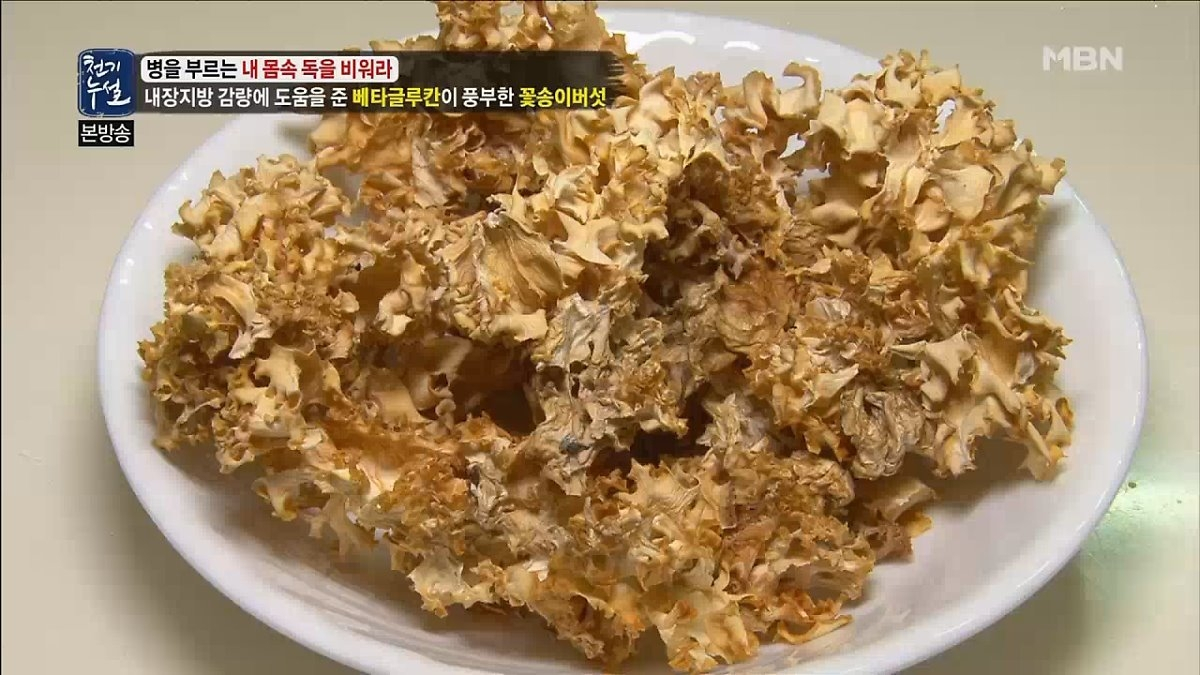 꽃송이버섯 효능, '당뇨병·고혈압·심장병'과 같은 성인병에 탁월…꽃송이버섯 부작용은 없을까?