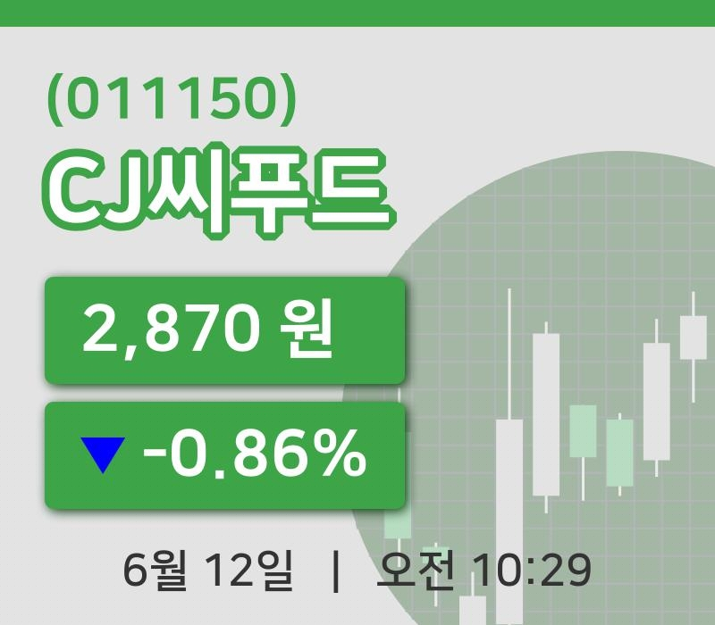[CJ씨푸드주가] 12일 이시각 현재  2,870원