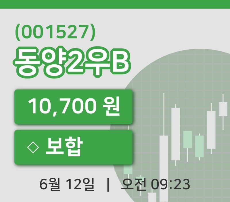 [동양2우B주가] 12일 이시각 현재  10,700원
