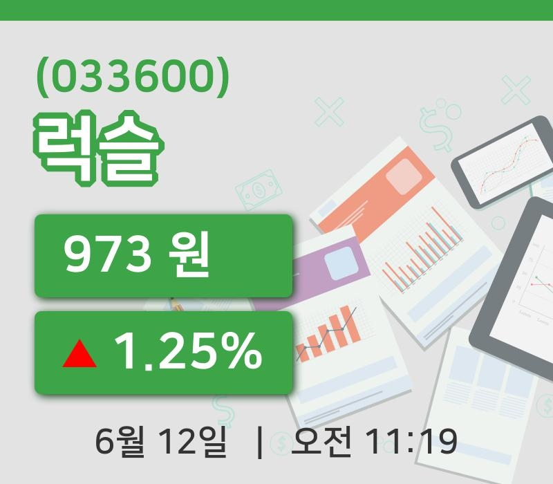 [럭슬주가] 11시 19분 현재 973원