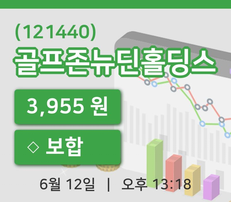 [골프존뉴딘홀딩스주가] 13시 18분 현재 3,955원