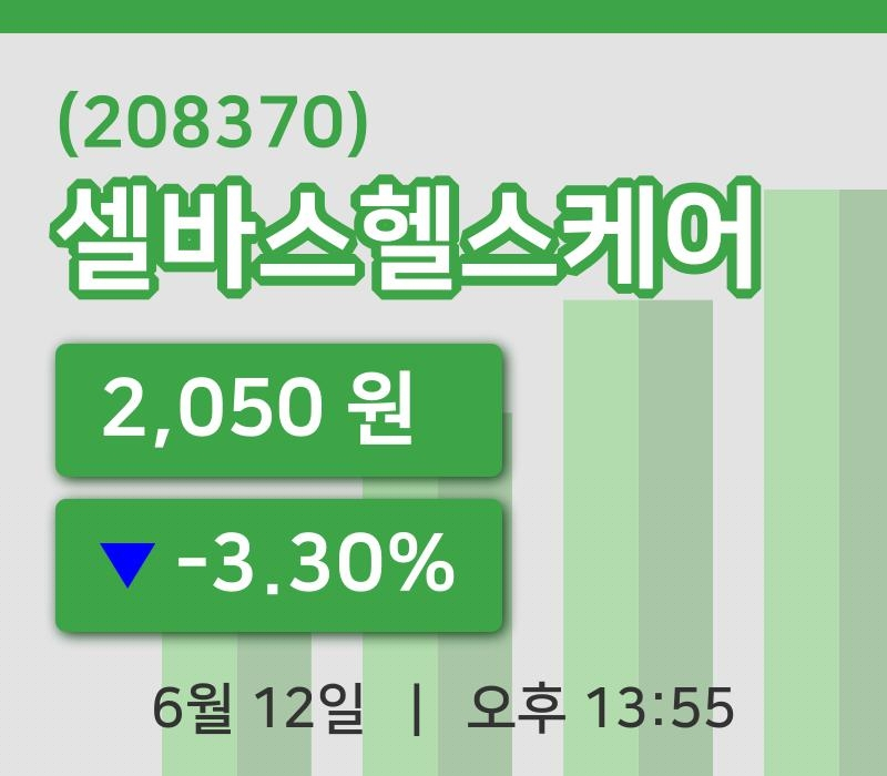 [셀바스헬스케어주가] 12일 이시각 현재  2,050원