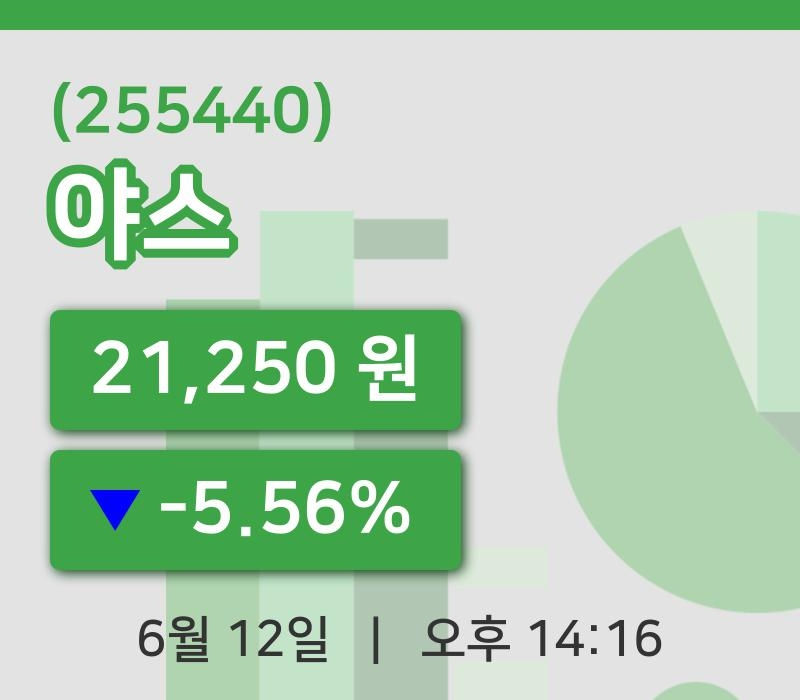 [야스주가] 12일 이시각 현재  21,250원