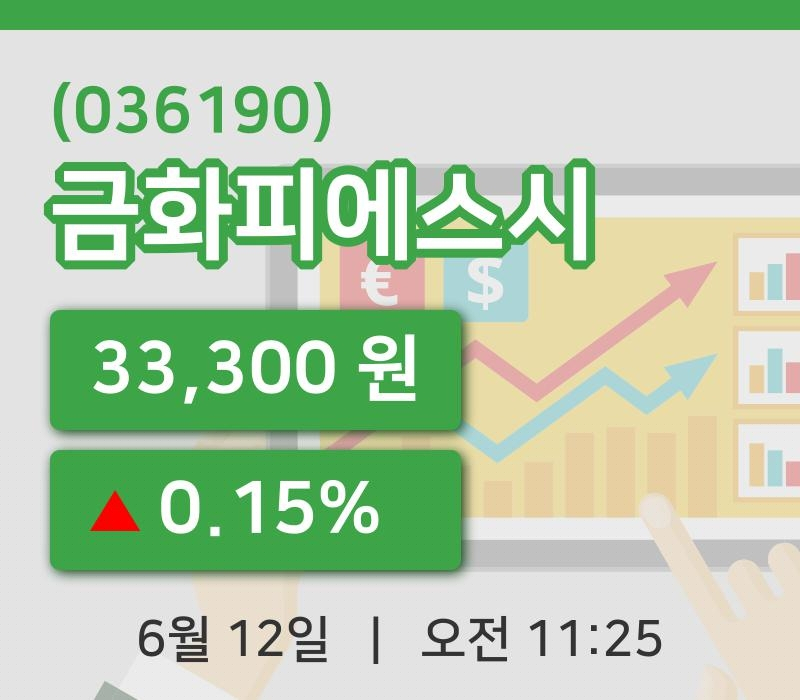 [금화피에스시주가] 12일 이시각 현재  33,300원