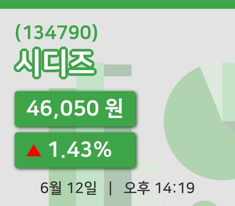 [시디즈주가] 12일 이시각 현재  46,050원