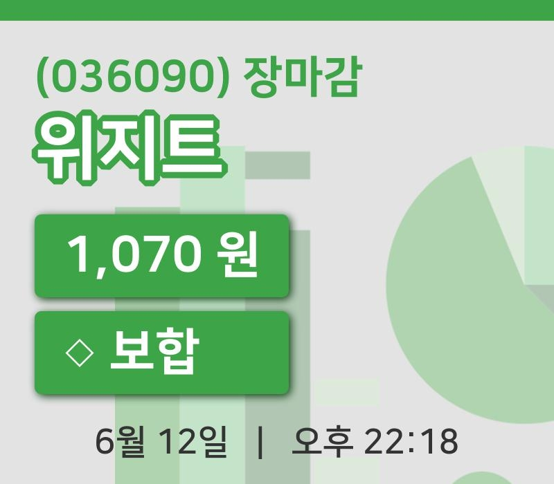 주식마감위지트 12일 1,070원 마감그래프복습 및 분석