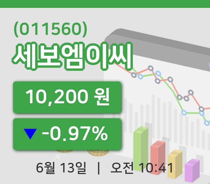 [세보엠이씨주가] 13일 이시각 현재  10,200원