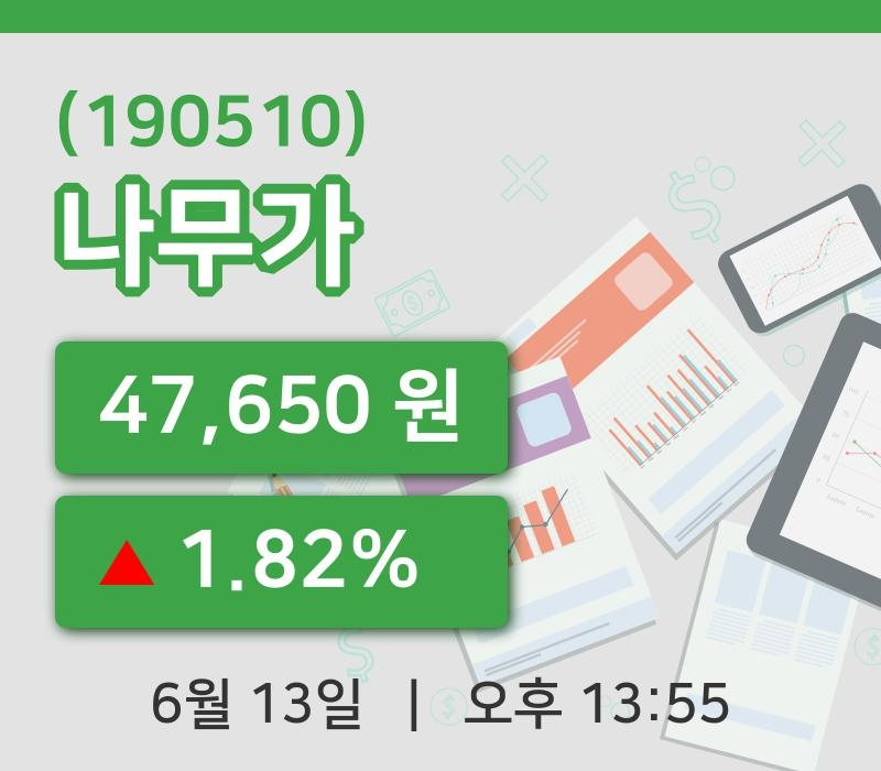 [나무가주가] 13일 13시 55분 현재 47,650원