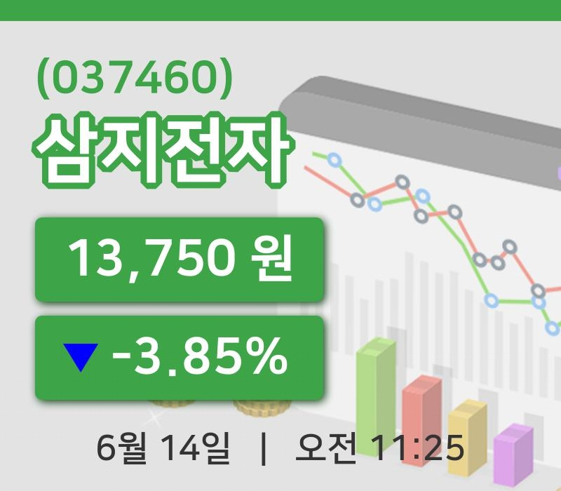[삼지전자주가] 14일 11시 25분 현재 13,750원