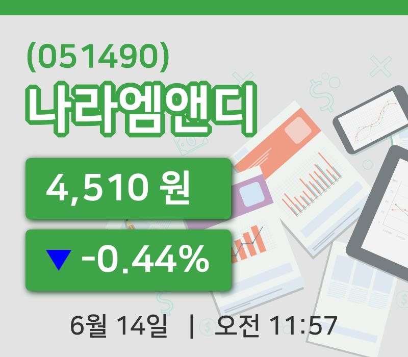 [나라엠앤디주가] 14일 이시각 현재  4,510원