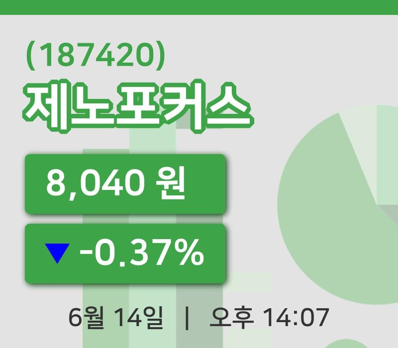 [제노포커스주가] 14일 이시각 현재  8,040원