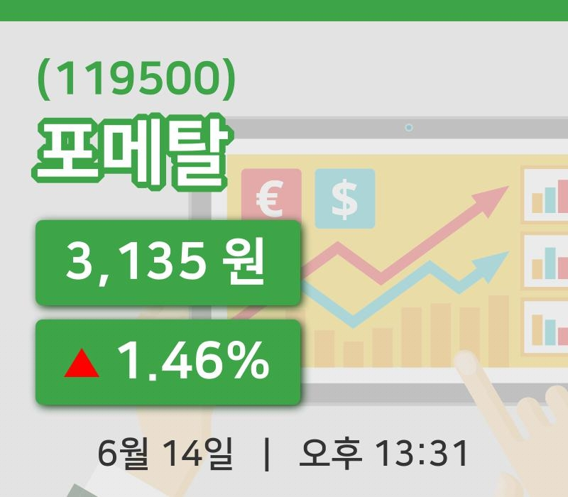 [포메탈주가] 13시 31분 현재 3,135원