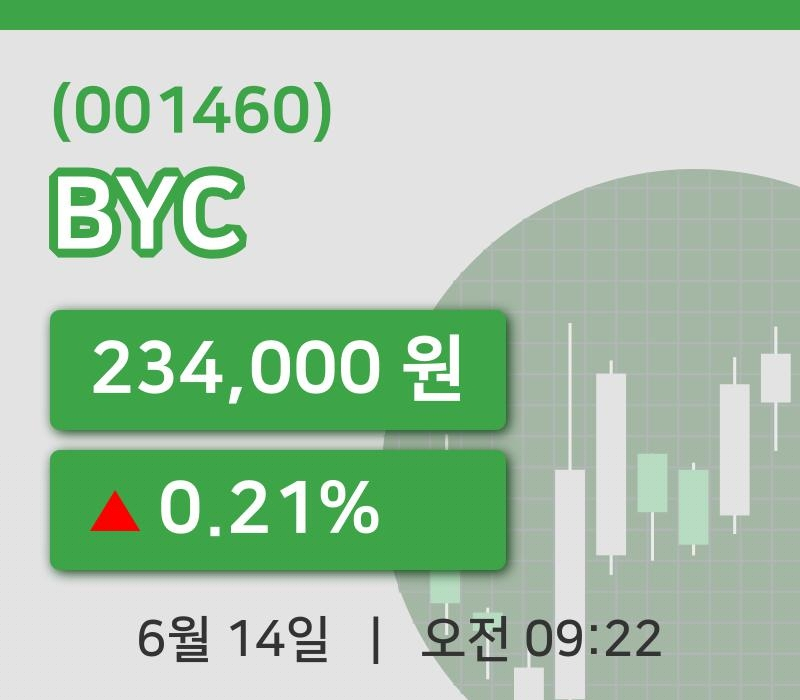 [BYC주가] 14일 이시각 현재  234,000원