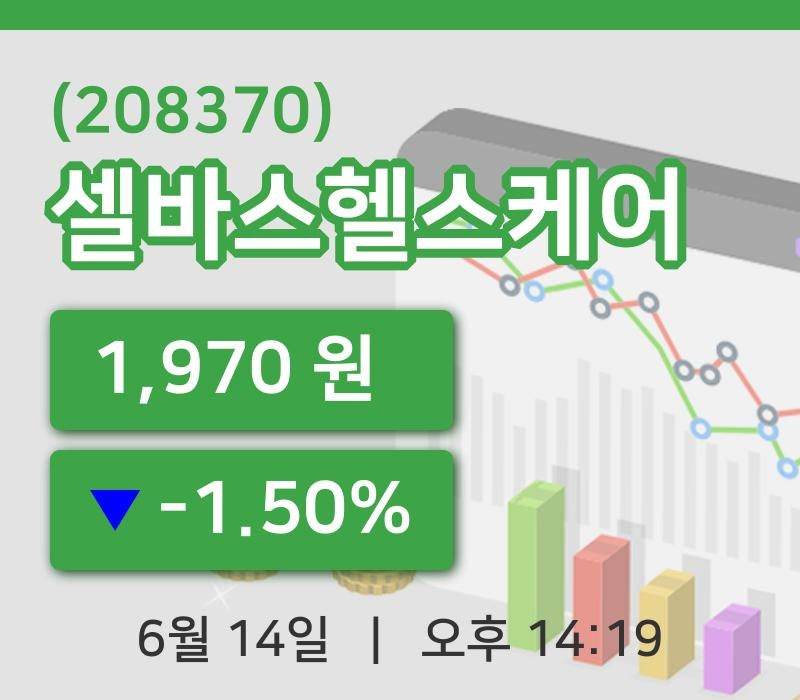 [셀바스헬스케어주가] 14일 이시각 현재  1,970원