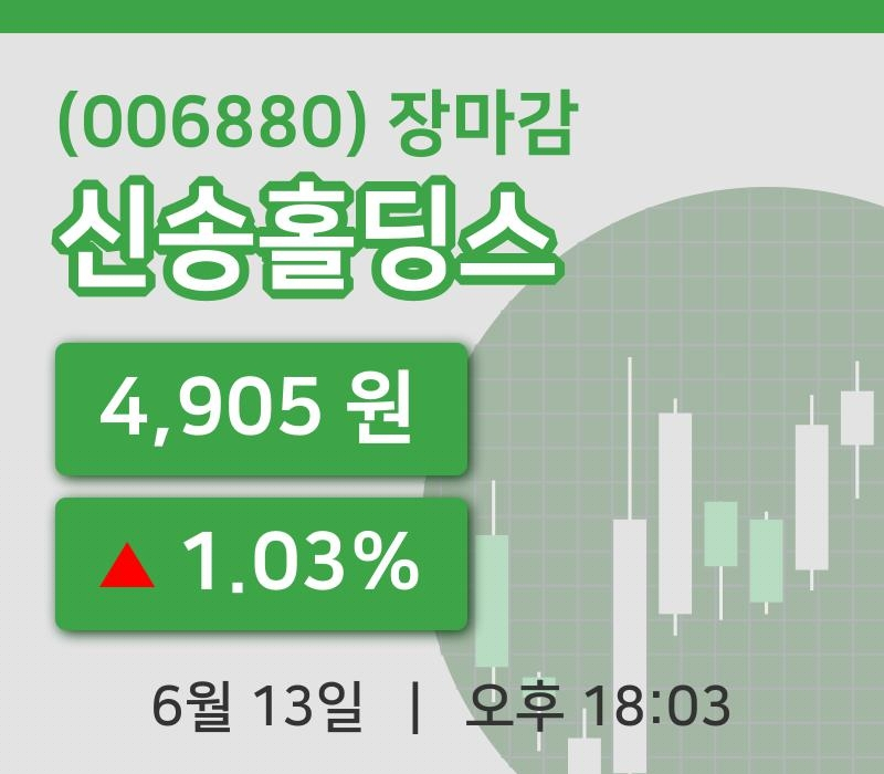 코스피정리신송홀딩스 13일 4,905원 마감그래프종합통계