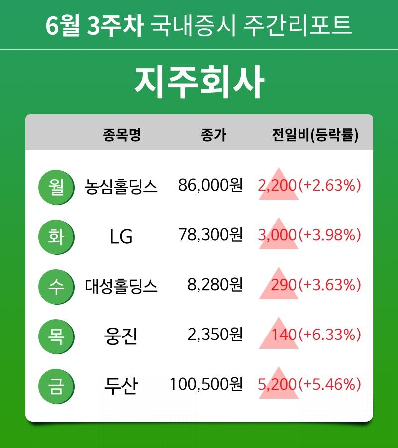 [주간 증시 리포트] 6월 3주차 지주회사 테마 주간 리포트 : 농심홀딩스, LG, 대성홀딩스, 웅진, 두산 등 강세