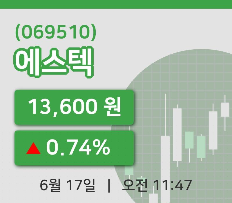 [에스텍주가] 17일 이시각 현재  13,600원