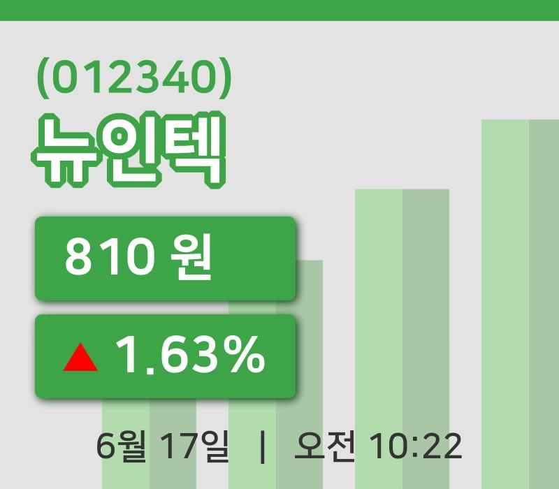 [뉴인텍주가] 17일 이시각 현재  810원