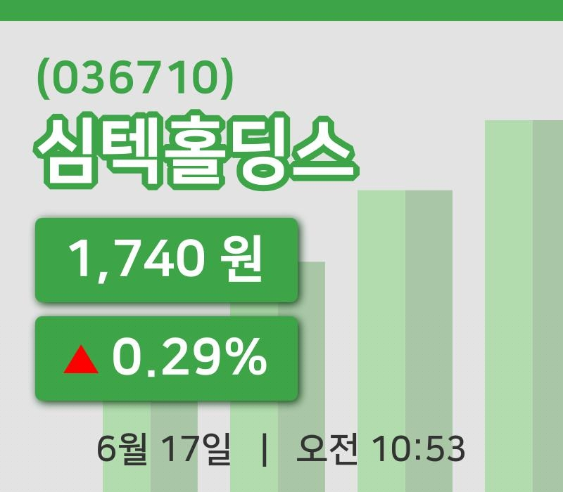 [심텍홀딩스주가] 10시 53분 현재 1,740원