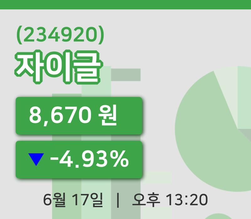 [자이글주가] 17일 이시각 현재  8,670원