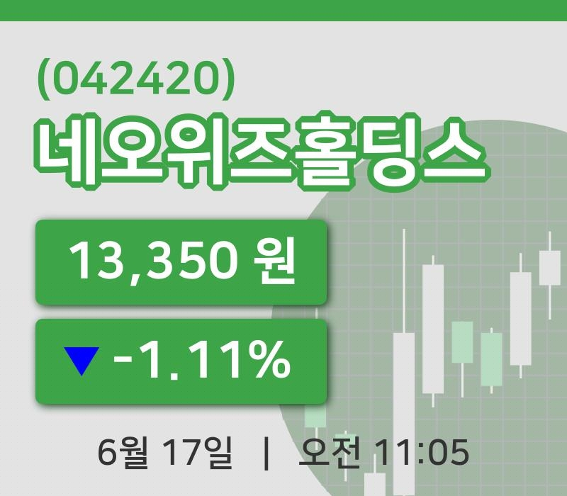 [네오위즈홀딩스주가] 17일 11시 05분 현재 13,350원