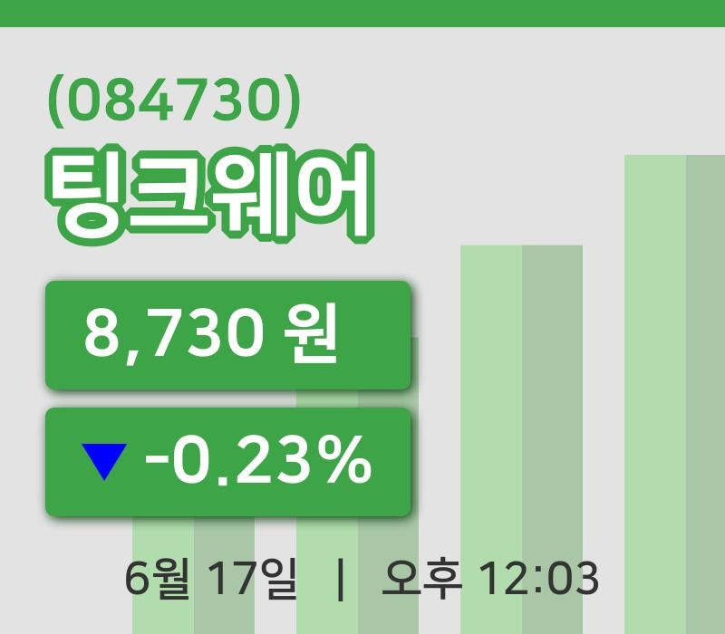 [팅크웨어주가] 12시 03분 현재 8,730원