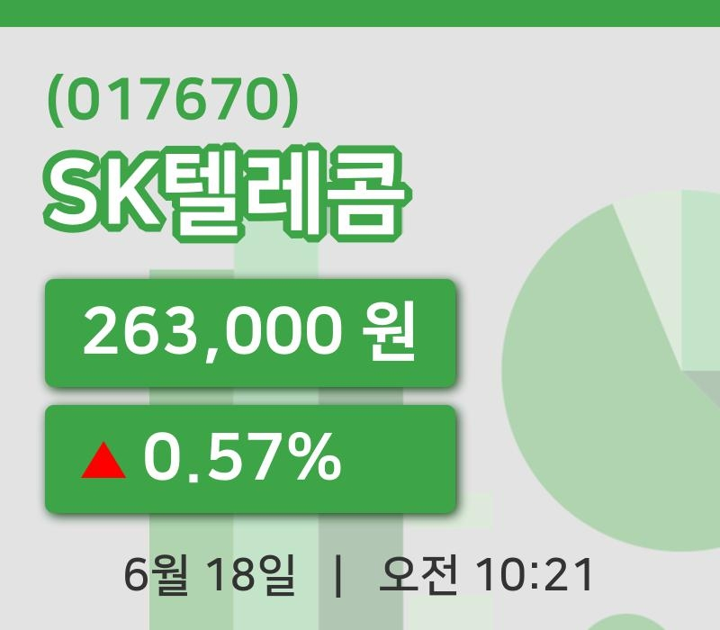 [SK텔레콤주가] 18일 10시 21분 현재 263,000원