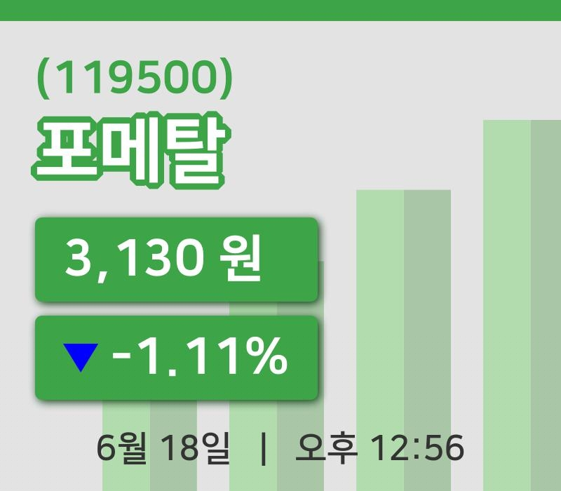 [포메탈주가] 12시 56분 현재 3,130원