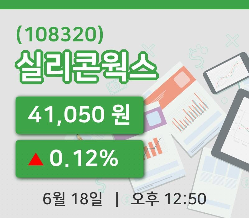 [실리콘웍스주가] 18일 이시각 현재  41,050원