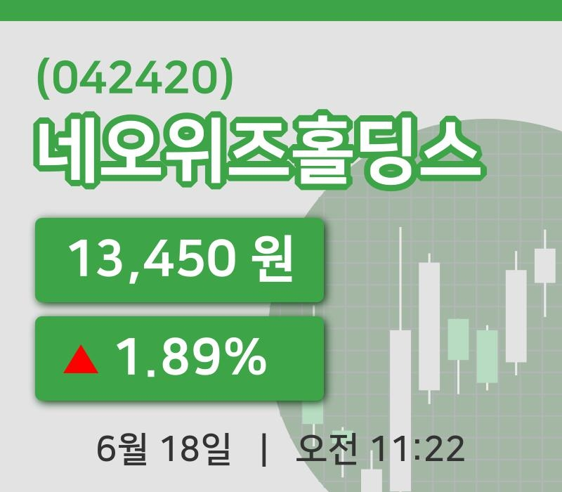 [네오위즈홀딩스주가] 18일 이시각 현재  13,450원