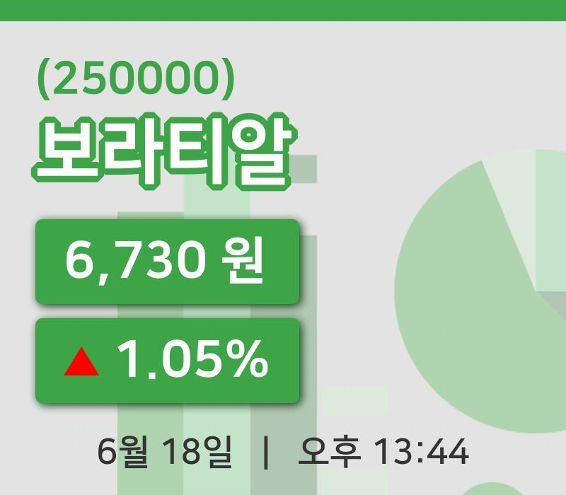 [보라티알주가] 18일 13시 44분 현재 6,730원