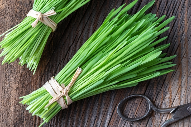 [다이어트 방법 추천] 간에 좋은 음식 '새싹보리분말' 효능은?...새싹보리분말 효능·먹는방법·부작용