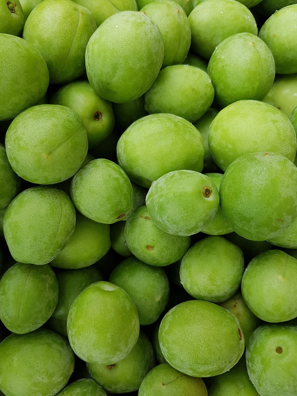 [6월 제철음식] 체했을 때·피로회복에 좋은 '매실 효능', 알토란 매실장아찌·수미네반찬 매실청 만드는 법은?