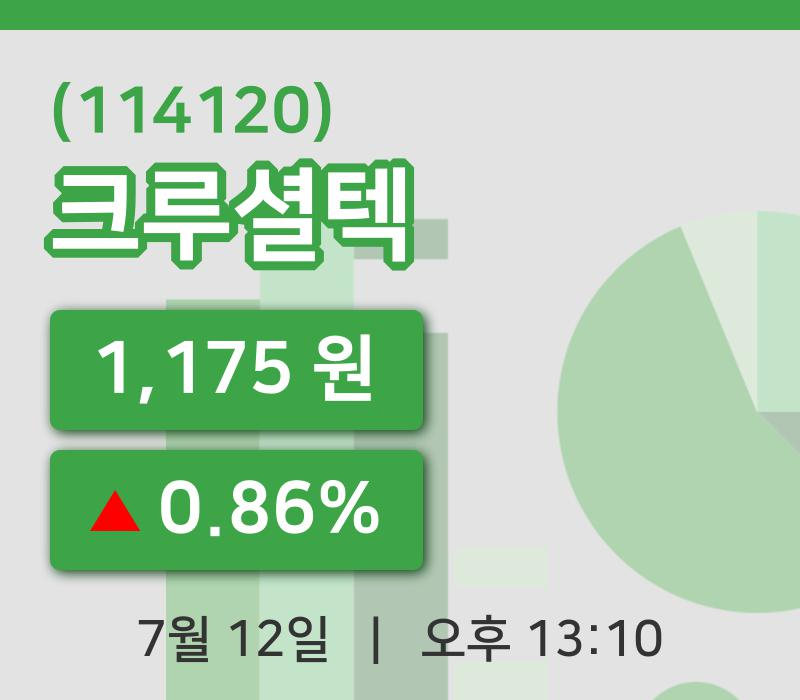 [크루셜텍주가] 13시 10분 현재 1,175원