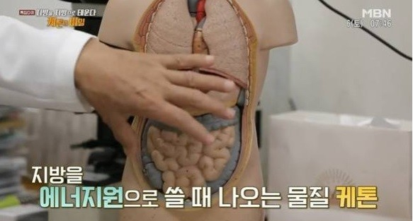 케톤 다이어트 관심..섭취 방법 및 부작용은?