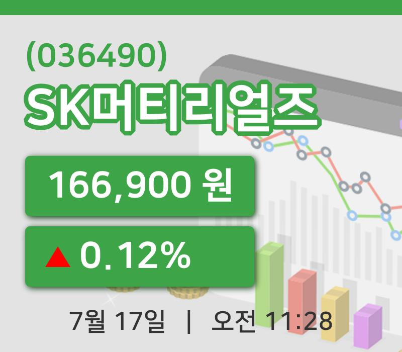 [SK머티리얼즈주가] 17일 11시 28분 현재 166,900원