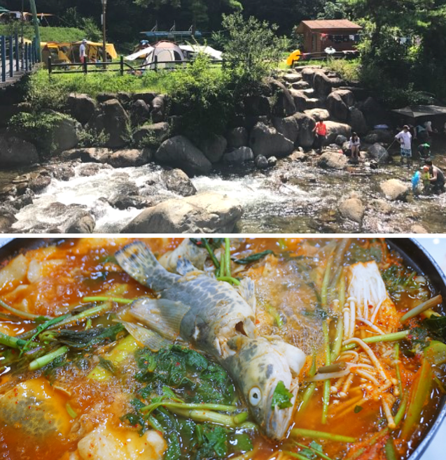 단양 맛집탐방, 고퀄리티 국내산 생물쏘가리의 전국 5대 매운탕집 '그집쏘가리'