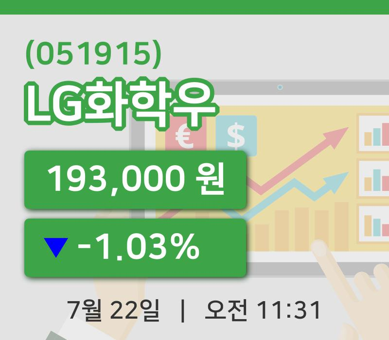 [LG화학우주가] 22일 이시각 현재  193,000원
