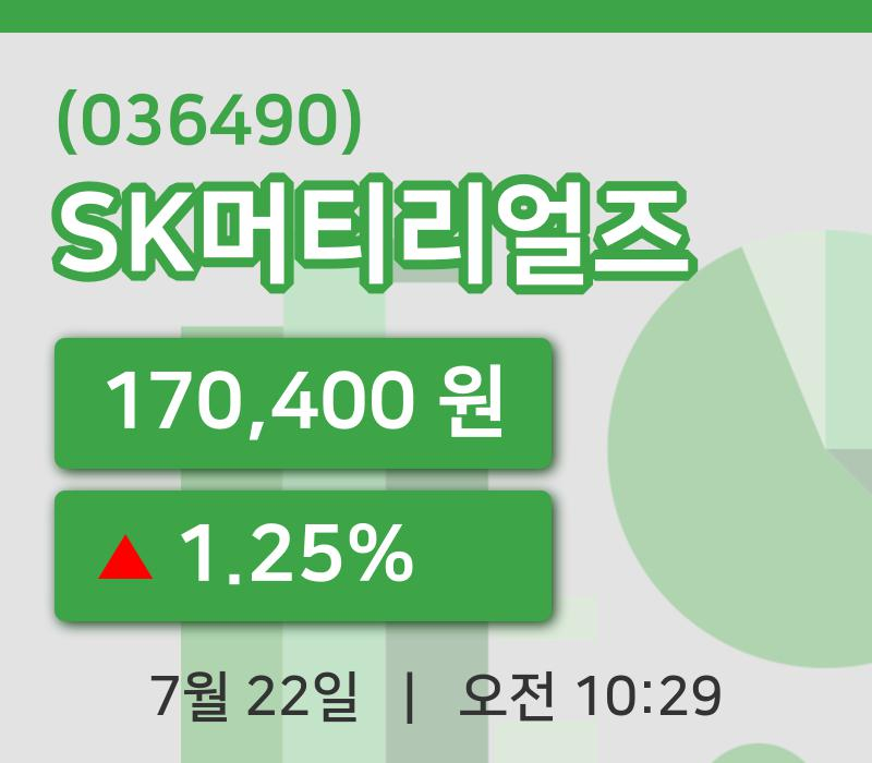 [SK머티리얼즈주가] 22일 이시각 현재  170,400원