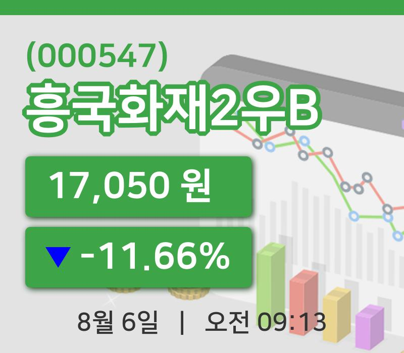 [흥국화재2우B주가] 9시 13분 현재 17,050원
