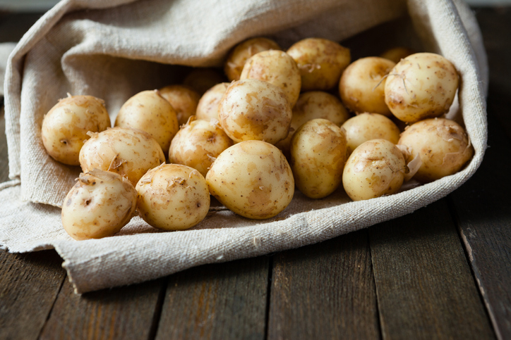 [8월 제철음식] 고소한 삶은 감자 효능은? 감자와 돼지감자 효능은 다를까? 감자 효능 및 감자 삶는법은?