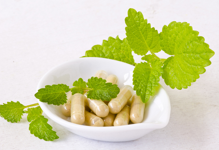 가려운 곳 통증·염증 완화 효능, '레몬밤' 이런 사람 조심하자! 부작용과 레몬밤 먹는법 추천