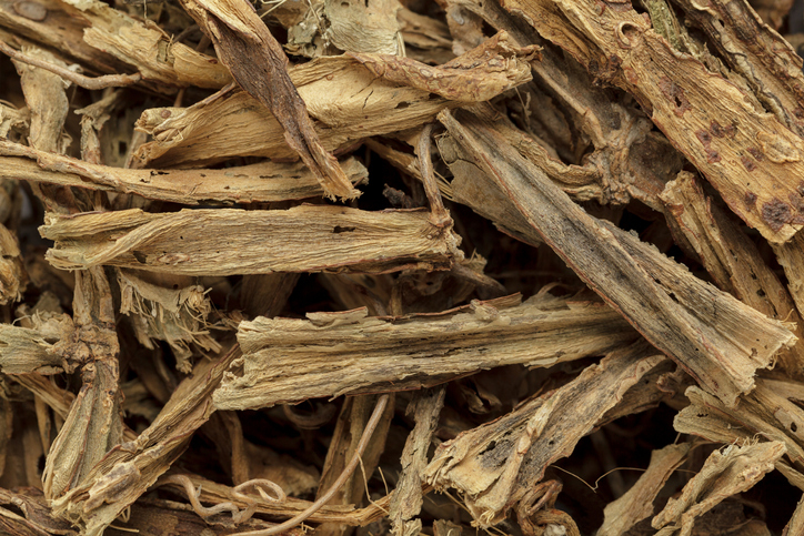 [연예인 다이어트 식단] 포만감 못 느끼는 뚱보균 잡아 '시서스' 효능·부작용 및 시서스가루 먹는법 소개