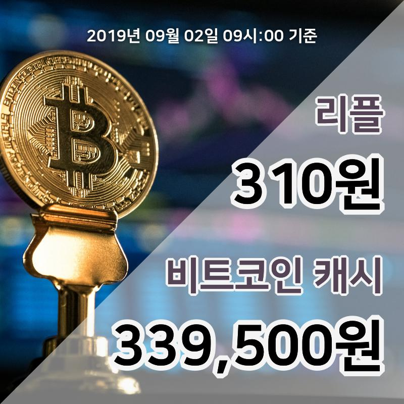 [코인원 시황] 2일 09시 기준 리플 현재가 313원, 비트코인캐시 34만2300원