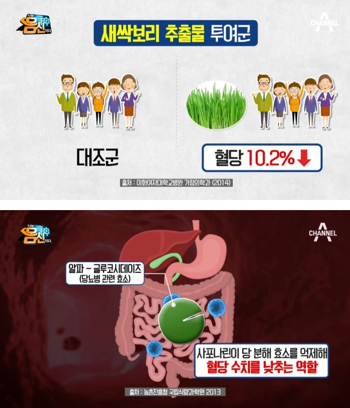 새싹보리 추출물 투여군, 혈당 무려 10.2% 감소해 '혈당 낮추는 법'으로 탁월 효능 및 부작용은?