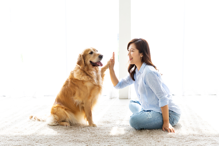 주택청약 1순위 조건 해봤자다? "가산점에 초점 맞춰야" 신청방법 알아보기...청년 우대형 청약통장 조건