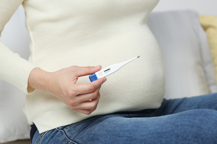 테기 사용 시기 임 임신테스트기 정확도